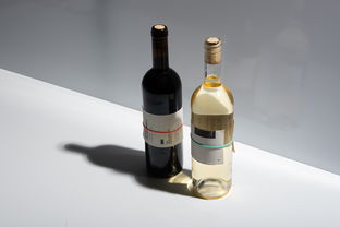 零酒精也能暢飲？探尋即飲型無酒精飲料的新風潮